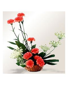 A Basket of Love - A Charming n Attractive arrangement of 10 Carnations set in a Cane Basket