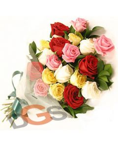 20 Colorful Roses BOQ003