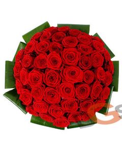 50 Red Roses Bunch BOQ006