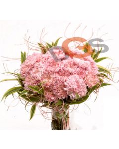 Tender Love - Pink Carnations