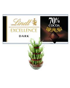 Lindt Excellence Dark with 70% Chocolate LINDT06