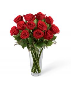 One Dozen Premium Long Stemmed Red Rose Bouquet